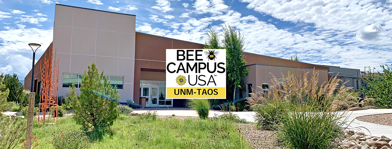 bee-campus-00.jpg