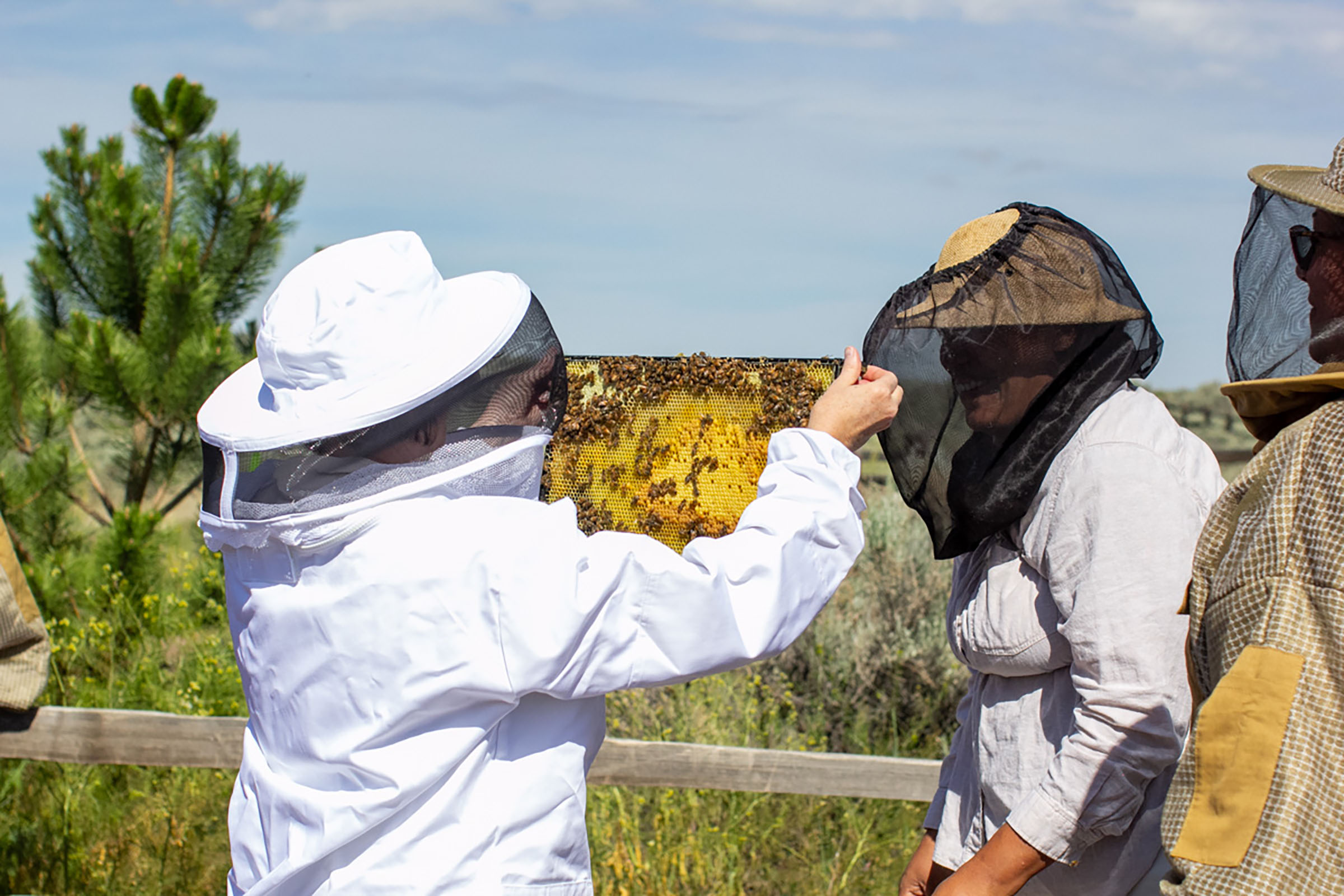 It's March: The Beekeepers' Busy Season