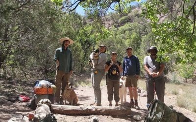 From textbooks to trailheads: Sustainability comes alive in the Gila